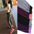 China supplier women plain seamless elastic workout fitness yoga pants leggings